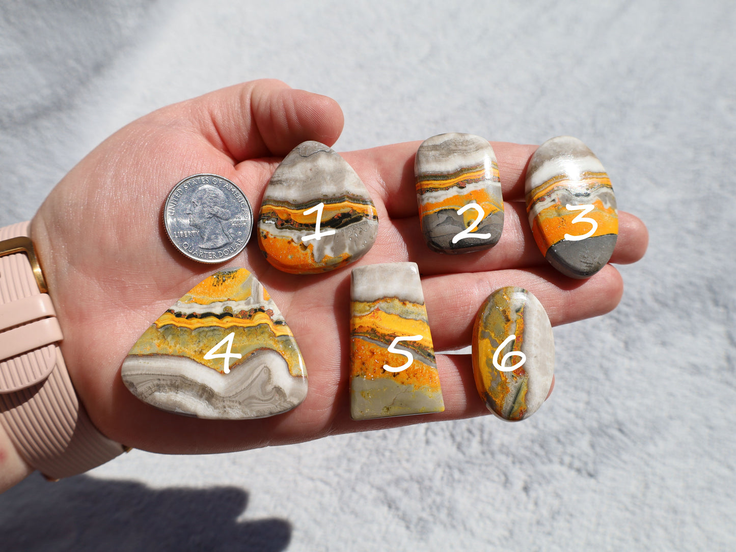 Bumble Bee Jasper Cabochon