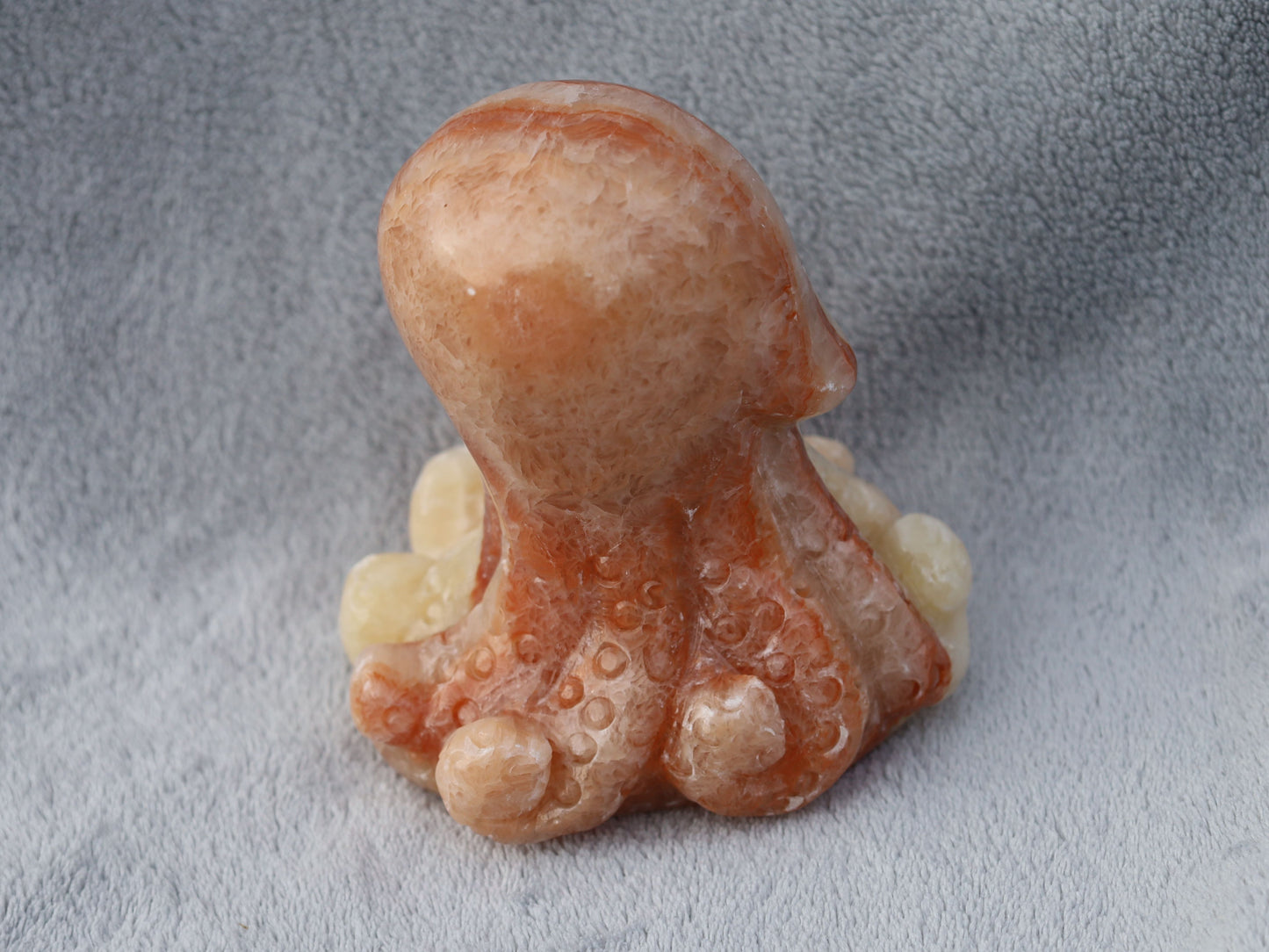 Jade Octopus