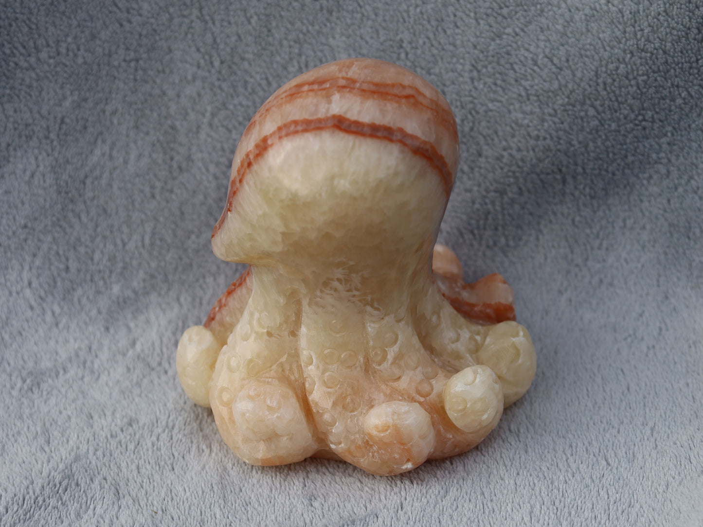 Jade Octopus