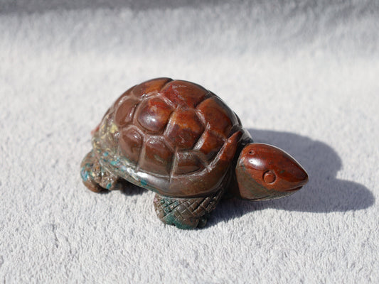 Bloodstone Turtle