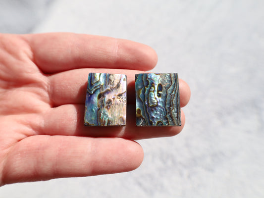 Abalone Cabochon